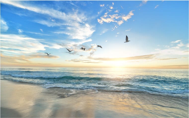 新潟市の行政書士 よしだ行政書士事務所 のサービス 相続・遺言